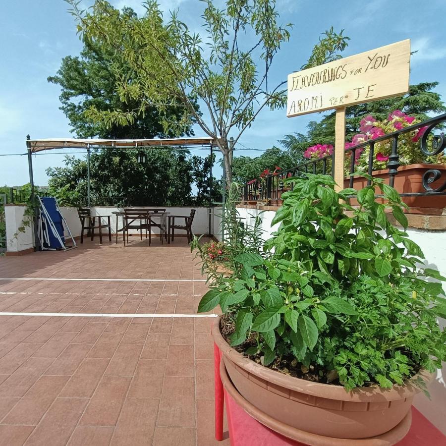 Appartamento Maria Vittoria - Morciano Di Romagna Buitenkant foto